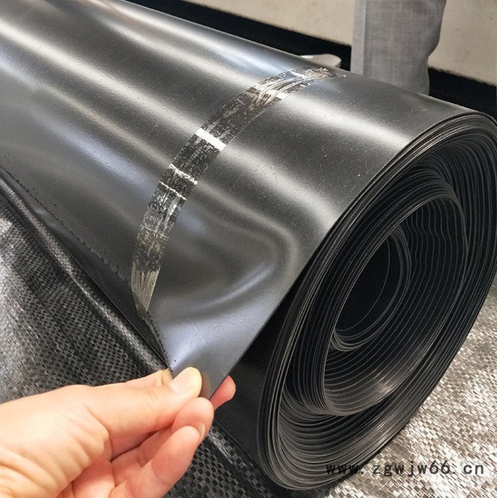 新沂厂家防水材料 聚乙烯土工膜 防水土工膜 防渗土工膜图4