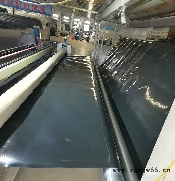 防水板 土工膜 长丝土工布 垃圾填埋场用防水材料 晟阳供应图2