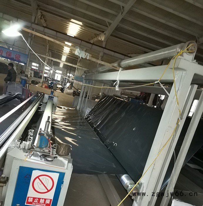 防水板 土工膜 长丝土工布 垃圾填埋场用防水材料 晟阳供应图4