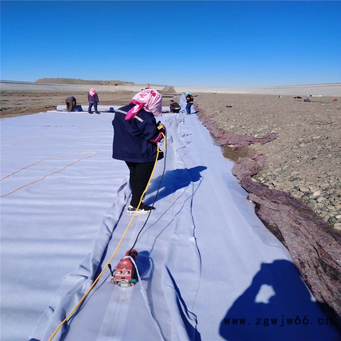 润泽厂家供应600g防渗土工布 人工湖防水材料图5