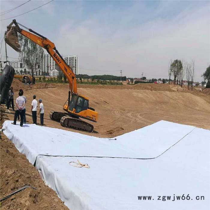 润泽厂家供应600g防渗土工布 人工湖防水材料图2
