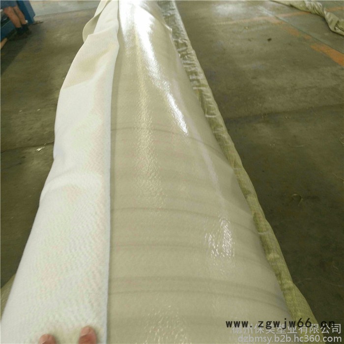 厂家pe吊带防水板 复合自粘防水板 新型隧道防水材料直销图4