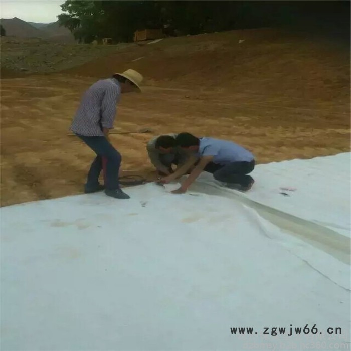 厂家pe吊带防水板 复合自粘防水板 新型隧道防水材料直销图6