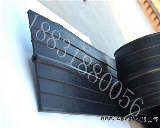 橡胶止水带高分子防水材料 执行标准 GB 18173.2—2014图4