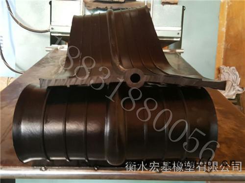 橡胶止水带高分子防水材料 执行标准 GB 18173.2—2014图3