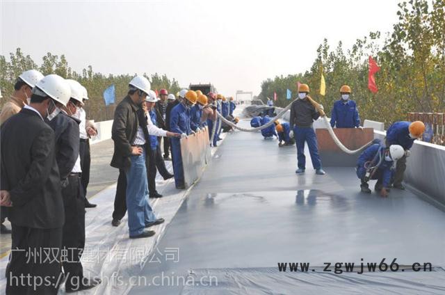 双虹SBS改性沥青防水涂料路桥防水涂料屋面隔热保温材料图5