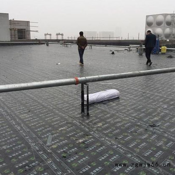 【廊坊时代】供应**防水卷材SBS 环保防水材料图6