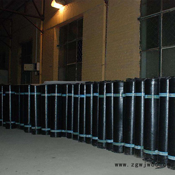 【廊坊时代】供应**防水卷材SBS 环保防水材料图5