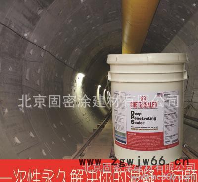 无毒环保 美国进口渗透结晶型水性无机防水材料 永凝液DPS图2