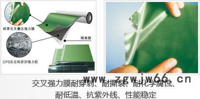 金雨伞防水材料