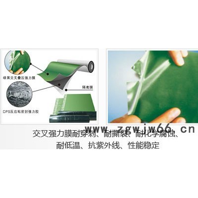 金雨伞防水材料