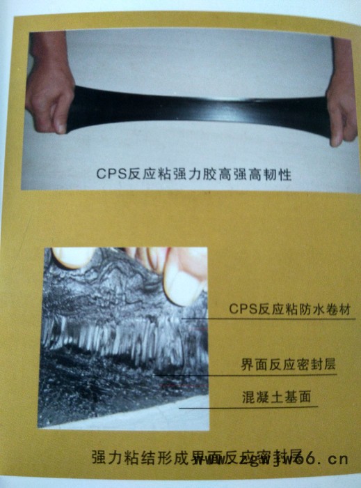 金雨伞防水材料图2