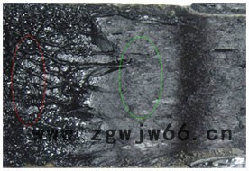 金雨伞防水材料图6