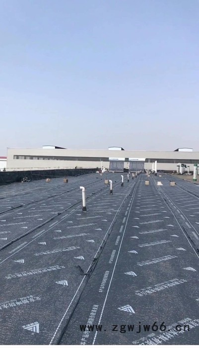 专业河北防水材料图4