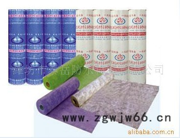 供应聚乙烯高分子防水材料 防水卷材图2