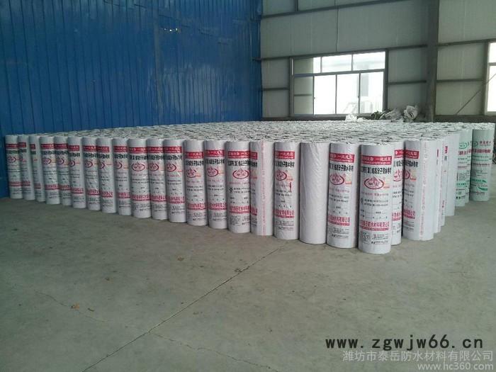 供应聚乙烯高分子防水材料 防水卷材图3