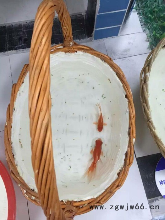 供应广东防水材料 青龙CQ101防水涂料 环保防水涂料** 水池防水材料图5