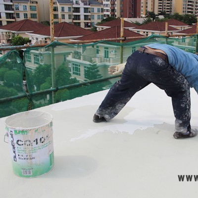 供应广东防水材料 青龙CQ101防水涂料 环保防水涂料** 水池防水材料
