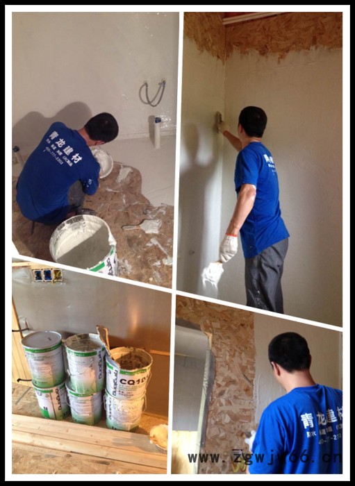 供应广东防水材料 青龙CQ101防水涂料 环保防水涂料** 水池防水材料图2