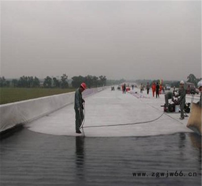 【招代理】fyt-1改进型桥面防水涂料fyt-1防水防水、防潮材料图3