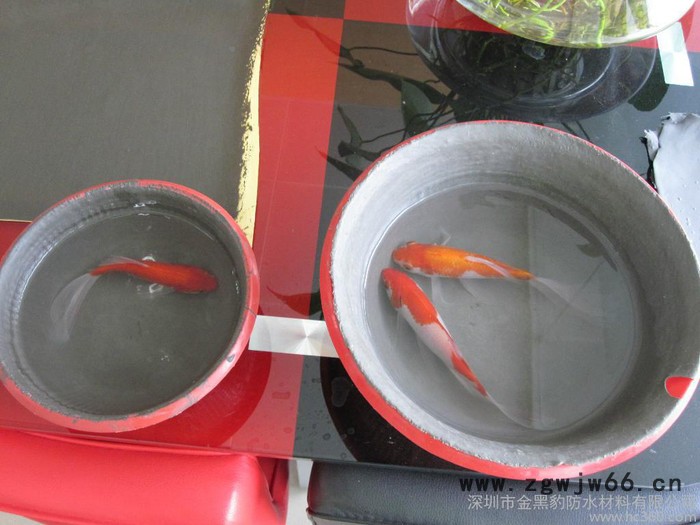 供应金黑豹JS-II卫生间防水做法|专业防水材料|防水涂料 卫生间防水做法，专业的防水材料不