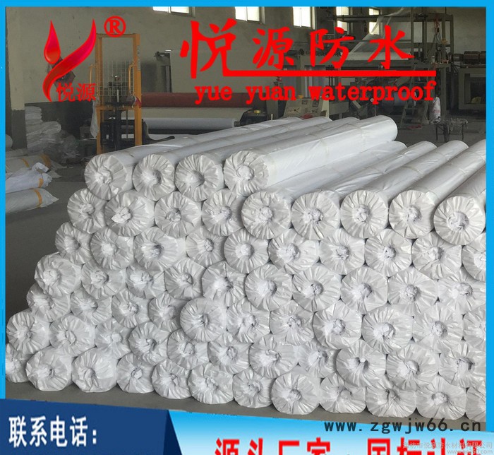pvc防水材料 耐根穿刺防水卷材 pvc防水卷材 屋面隧道防图3