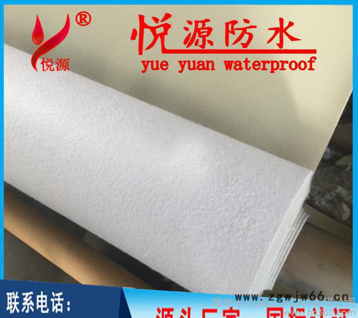 pvc防水材料 耐根穿刺防水卷材 pvc防水卷材 屋面隧道防图2