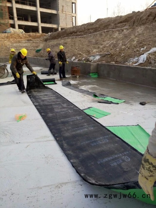 防水防潮材料高分子预铺自粘胶膜防水卷材图4