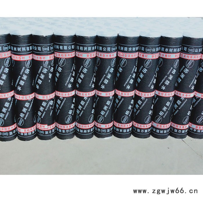 防水防潮材料 sbs改性沥青防水卷材 定制SBS防水卷材 柏洲防水 生产厂家图2