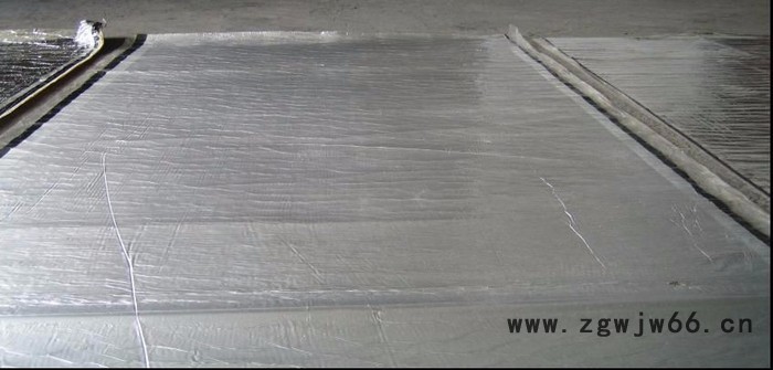 荣平防水、防潮材料图2