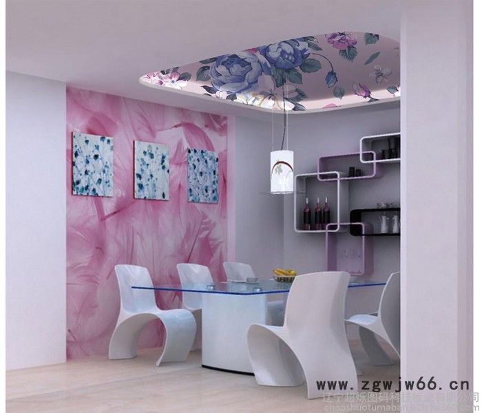 新型防潮材料定制时尚吊顶，超烁图码定制吊顶图2