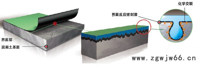SBS /APP 1.5厚改性沥青防水卷材 广东厂家生产直销国标品牌防水材料图3