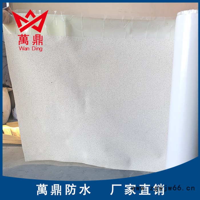 现货彩沙高分子自粘胶膜防水卷材 地下室防水防潮材料图4