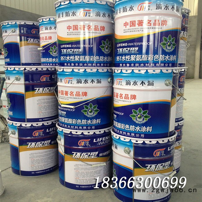 销售 水性聚氨酯防水涂料 环保无味 卫生间专用防水防潮材料图4