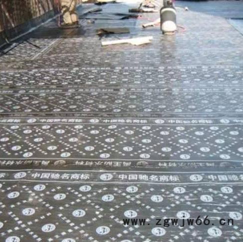 万晴防水、防潮材料 济南防水施工 防水施工队伍 防水维修团队图2