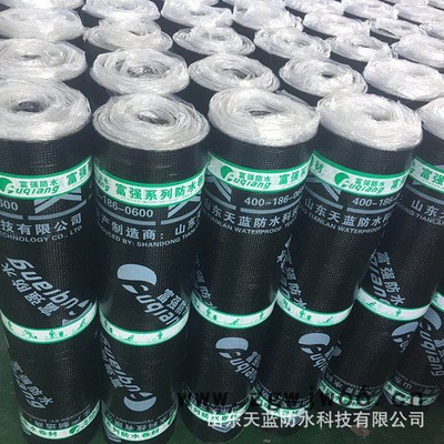 国标sbs改性沥青防水卷材 耐腐蚀复合胎 屋顶屋面专用防水材料图2