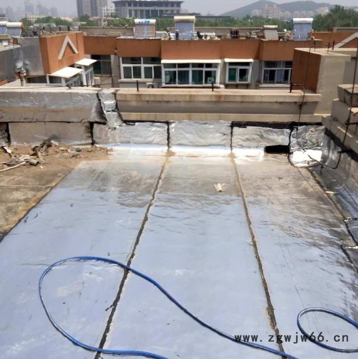 PVC防水卷材 防水材料销售 专业防水施工队伍 万晴防水图3