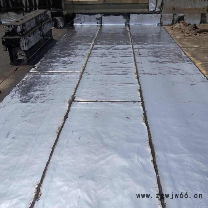 PVC防水卷材 防水材料销售 专业防水施工队伍 万晴防水图2