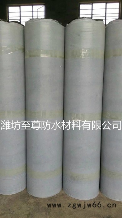 **钢构用2mm自粘聚合物改性沥青防水卷材   防水材料厂家 防水、防潮材料图2