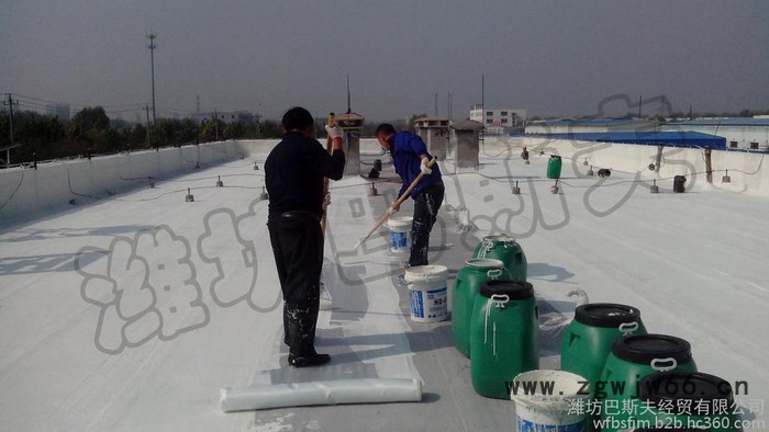 金属屋面 彩钢 外露屋面等外露专用防水涂料(抗紫外线、抗氧化能力强) 防水、防潮材料图5