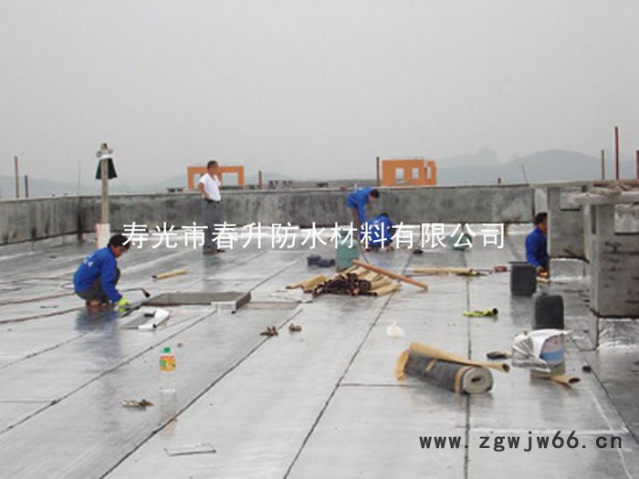 春升牌 聚氯乙烯PVC防水卷材 高铁专用防水材料 **图4
