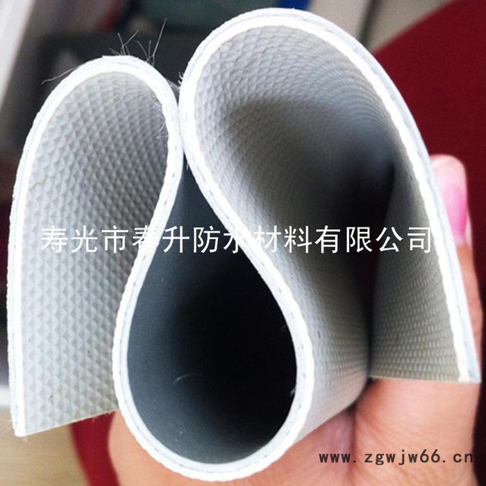 春升牌 聚氯乙烯PVC防水卷材 高铁专用防水材料 **图3