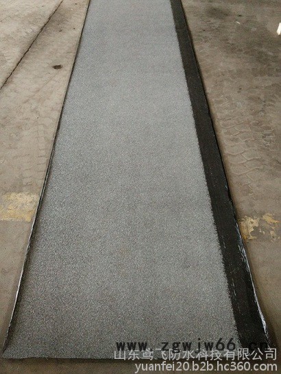 山东寿光鸢飞 4mmSBS改性沥青防水卷材 APP屋顶防水材料 房屋修补材料 4mm沥青防水卷材图3