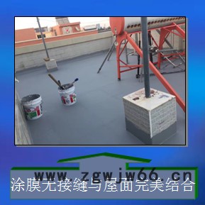 酷雅（韩国） 防水材料  单组份涂刷产品，施工方便，以**的密封和无缝隙覆盖效果造就有弹性的屋面防水。图2