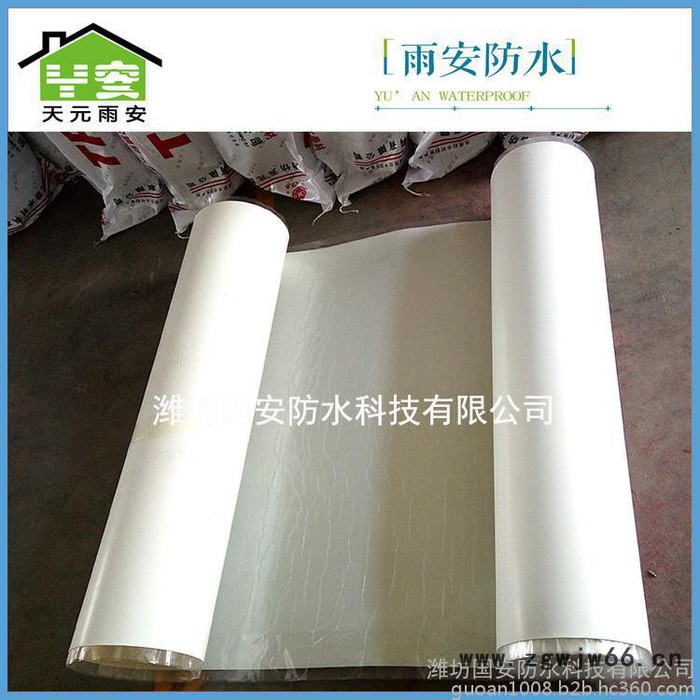 厂家供应天元雨安 高分子防水材料 非沥青基自粘胶膜防水卷材 防漏快粘图3
