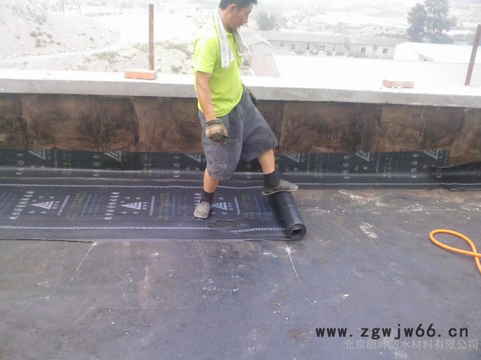 SBS防水材料厂家价格