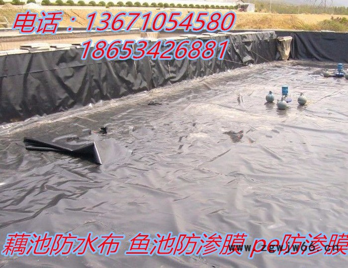 华龙鱼池虾塘渗水漏水的防水材料-防渗复合膜图2