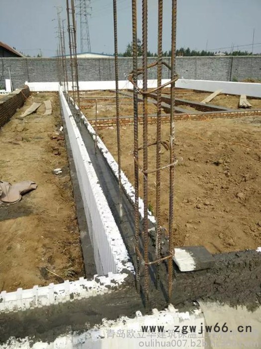 欧立华EPS模块1000*300*250空腔模块 保温材料 冷库材料图5