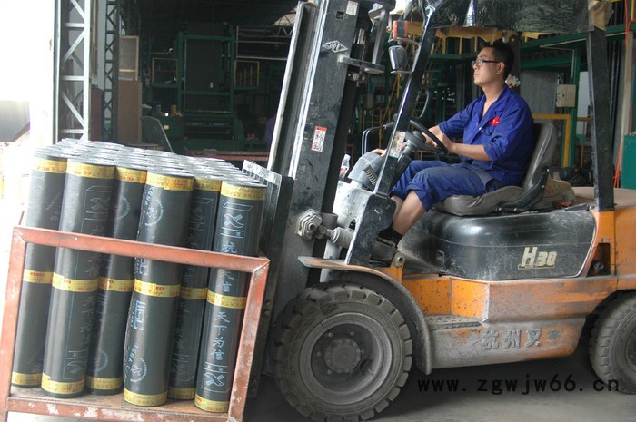 杭州防水材料生产厂家供应天信牌SBS沥青防水卷材 改性沥青防水卷材图5