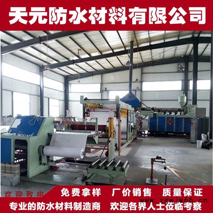 天福元 **聚乙烯丙纶高分子防水卷材 涤纶防水材料图4